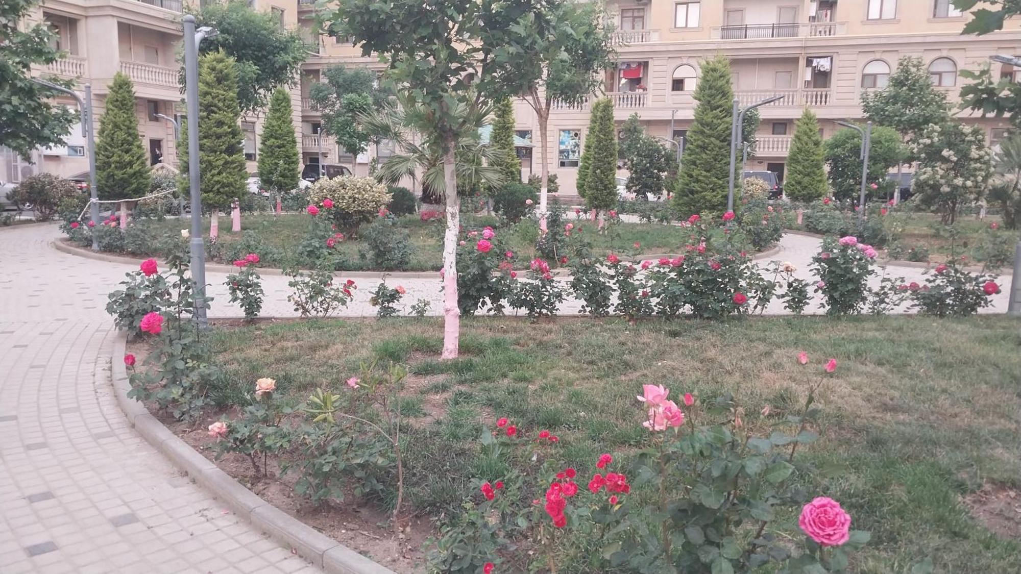 Banu House Leilighet Sumqayıt Eksteriør bilde